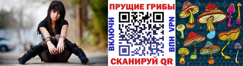 Галлюциногенные грибы GOLDEN TEACHER Подпорожье