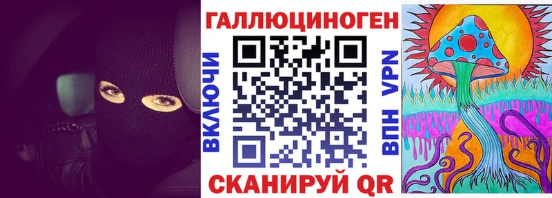 Псилоцибиновые грибы Psilocybine cubensis  Подпорожье 